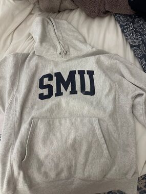 Champion Gray Pullover Hoodie with Navy Lettering